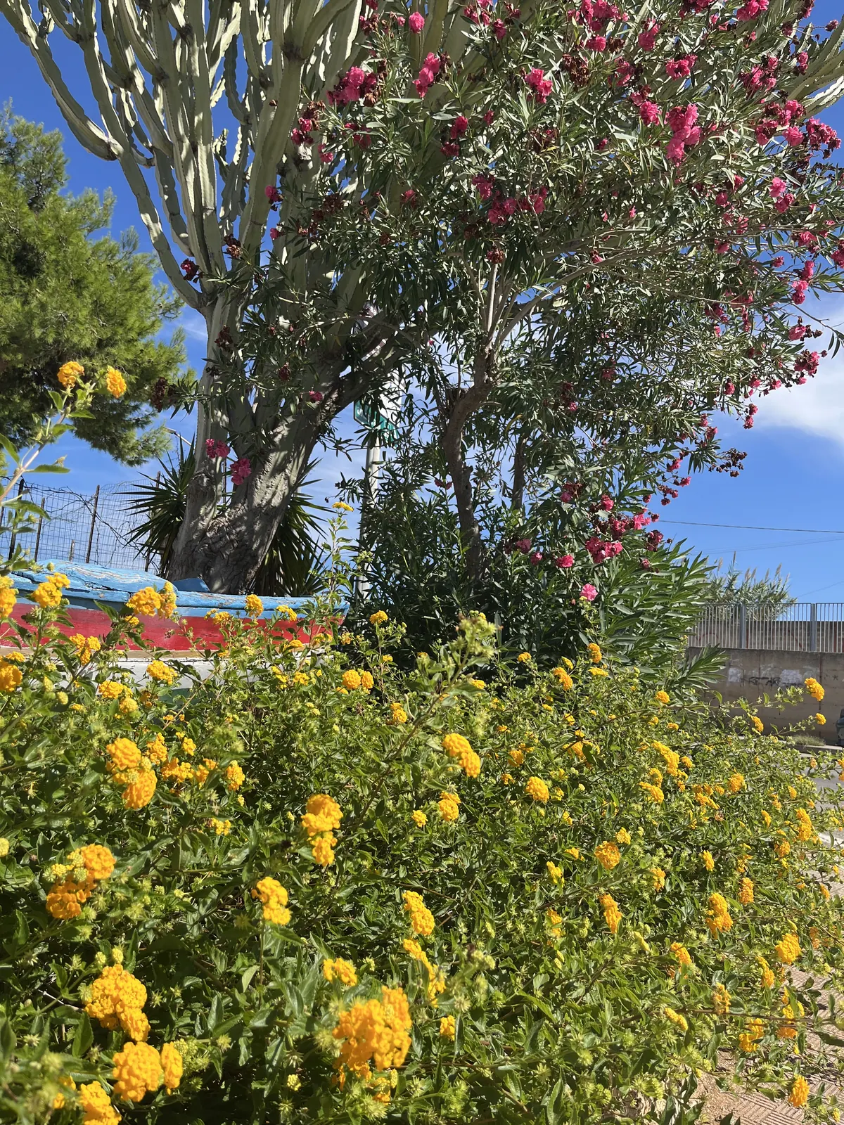 Bunte Blumen